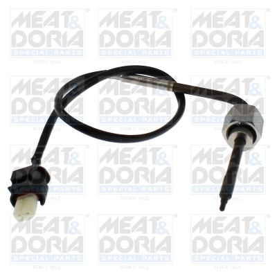 Sensor, exhaust gas temperature